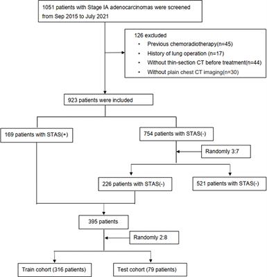 The Value of CT-Based Radiomics for Predicting Spread Through Air Spaces in Stage IA Lung Adenocarcinoma